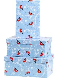 Коробка 19*12*6,5 см Снегири