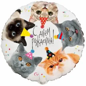 18" ДР Котики фотографичные / Китай 1202-3986