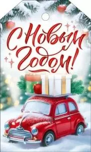 Бирка "Открытая планета" 9.0001323