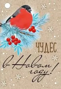 Бирка "Империя поздравлений" 92824