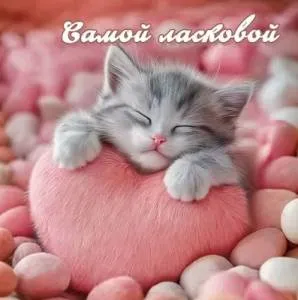 Бирка "Праздник" 5.0002175