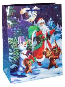 Пакет подарочный ПКП-6148 26,4*3,7*13,6см с глянц. ламинацией 