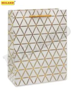 Пакет подарочный M/ПКП-8751 18*23*10 см с ламинацией