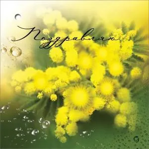 Бирка "Праздник" 2700428