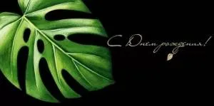 Конверт "Империя поздравлений" 41594