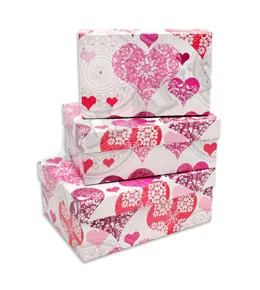 Коробка 23*16*9,5 см. ПП-0575