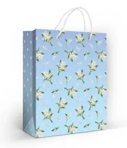 Пакет подарочный (М) 22,7*18 см/ 15.11.02680