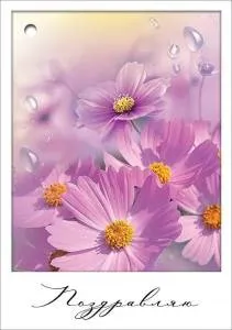 Бирка "Праздник" 2800872