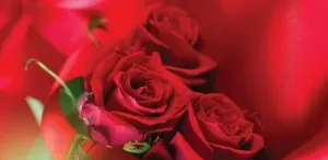 Конверт "Праздник" 2902122