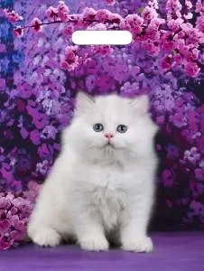 Пакет вырубной Милый Котик 40*31