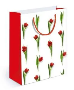 Сумка подар. 15,11,01730/ 18*23*10см