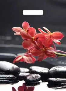 Пакет вырубной Гармония 40*31