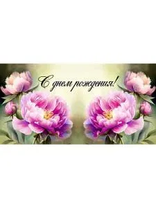 Конверт OPTIMA 1-04-0435