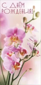 Конверт "Праздник" 1804998