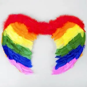 Крылья ангела 45*60