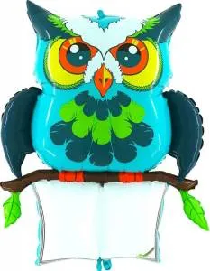 Шар с маркером (Grabo)