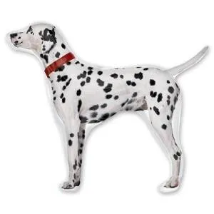 Далматинец