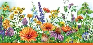 Открытка "Праздник" 01422