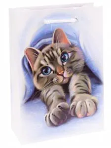 Пакет подарочный ХL/ППК-6317 32,4*44,5*10,2 см с ламинацией