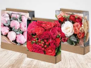 Пакет подарочный 22*31 см/ ч45476