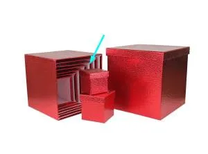 Коробка Текстура кожи красная 20,5*20,5*20,5
