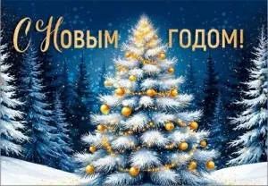 Бирка "Империя поздравлений" 3.0001311