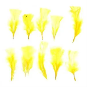 Набор перьев (желтые) 10 шт. 1250933