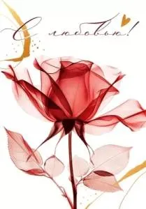 Бирка "Открытая планета" 52962