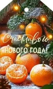 Бирка "Открытая планета" 9.0001161