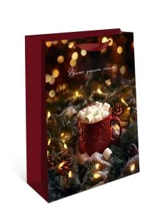 Пакет подарочный 18*22,3*10 см. / 1312.915