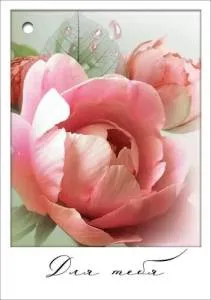 Открытка "Праздник" 2901826