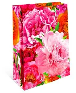 Сумка подар 0293.133