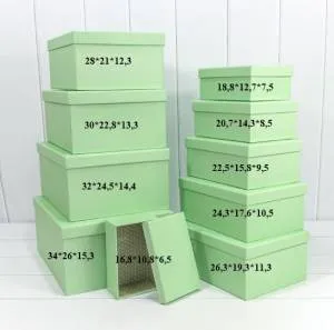 Коробка 30*22,8*13,3 см Бледно-зеленый