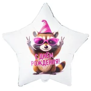 18" РУС ДР Енот в колпаке / Китай 1202-4207