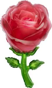 32" Роза красная / Китай 21729