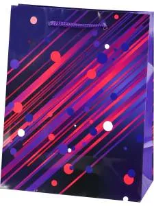 Пакет подарочный М/ПКП-1126 18*23*10 см 