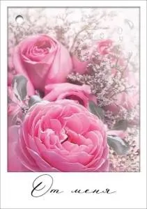 Открытка "Праздник" 2901798