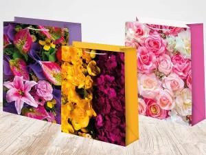 Пакет подарочный 33*45 см/ ч47393