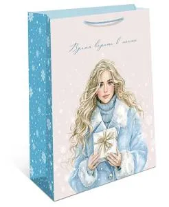 Пакет подарочный 26*32*12 см./ 0193.609