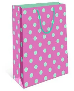 Сумка подар 0291.584/ 12*15*7см