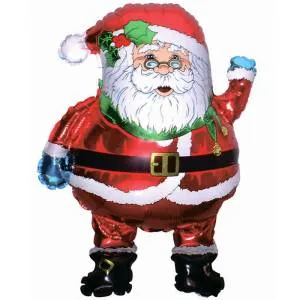 Санта в очках                           