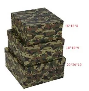 Коробка 20*20*10 см Камуфляж /030/686