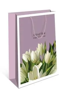 Пакет подарочный 33*42,5*10 см. / 0195.232