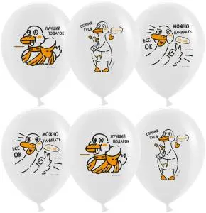 12" Гусь Обнимусь, белый пастель (Китай)/ 25 шт 612908