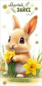 Конверт "Праздник" 5.0002274