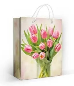 Пакет подарочный (М) 22,7*18 см/ 15.11.02674