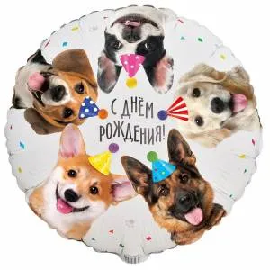 18" ДР Собачки фотографичные / Китай 1202-4030