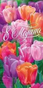 Конверт "Открытая планета" 70950