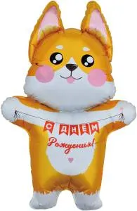 41" Корги на День Рождения / Китай 24163