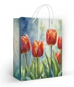 Пакет подарочный (М) 22,7*18 см/ 15.11.02673